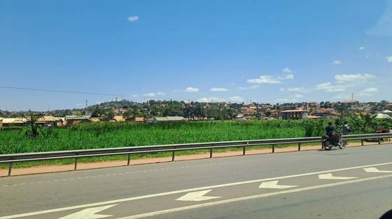 The greenbelt along the highway, on the road toward the airport.