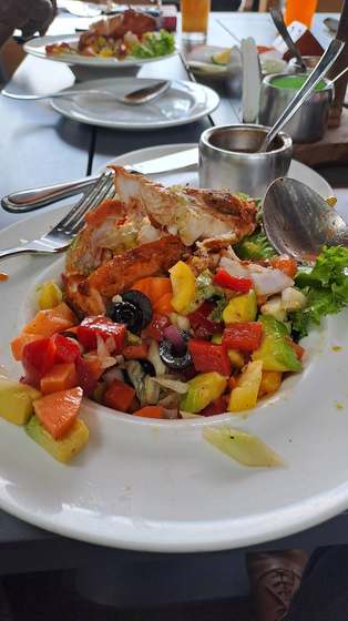 A plate from one of the mission's lunch stops: grilled chicken with a fresh tropical salad.