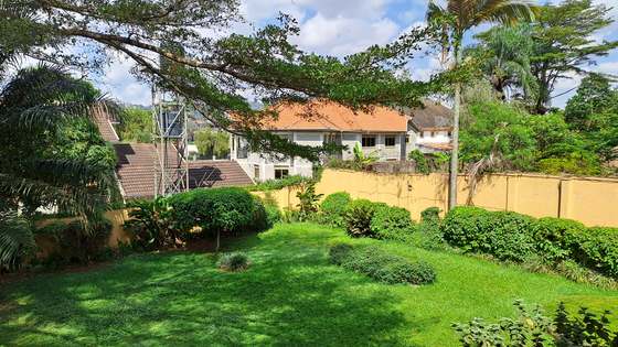The garden at eMata's Kampala office, where part of the morning's consultation took place.
